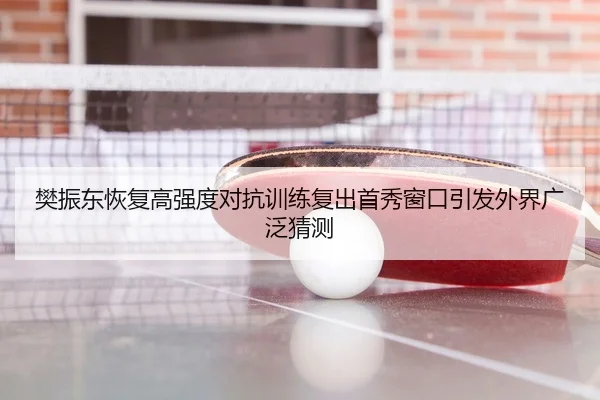 樊振东恢复高强度对抗训练复出首秀窗口引发外界广泛猜测